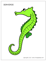 Seahorse | Printable Templates & Coloring Pages | FirstPalette.com