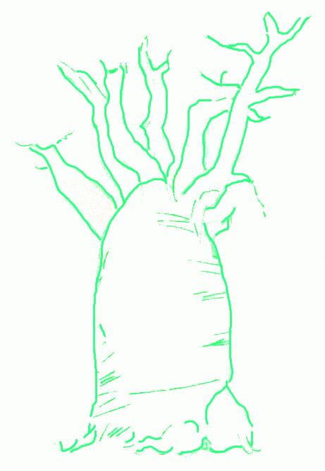 Exam Guide Online - How to Draw a Baobab.
