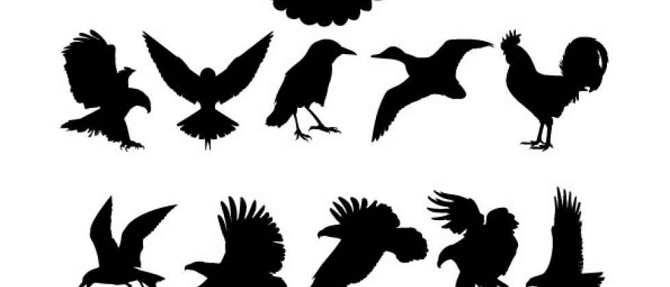 Free vector library | Birds Silhouettes