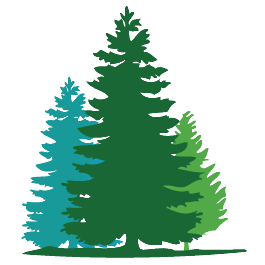 Douglas Fir Tree Clip Art – Cliparts