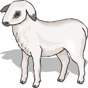 Lamb clip art - vector clip art online, royalty free & public domain