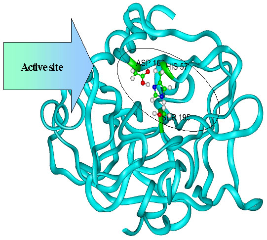 Organic Biochemistry 108 / Lecture Sites