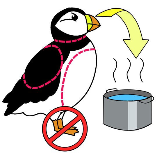 puffin.jpg