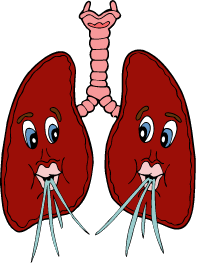 respiratory system on emaze