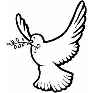 Delmont blog: flying dove