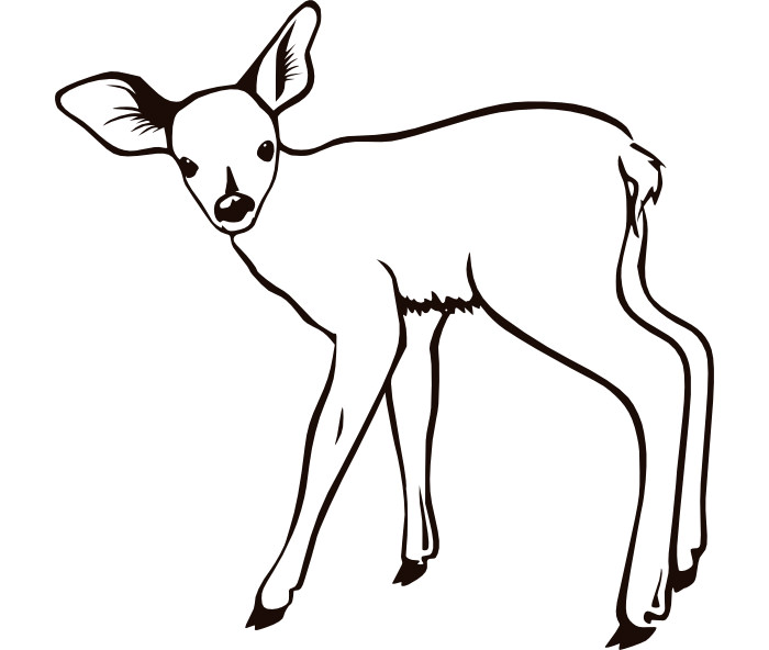 Deer Templates ClipArt Best