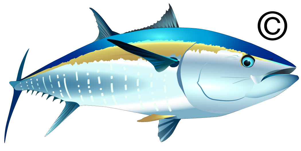 Tuna Clipart