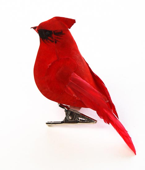 Cardinal Bird Clipart