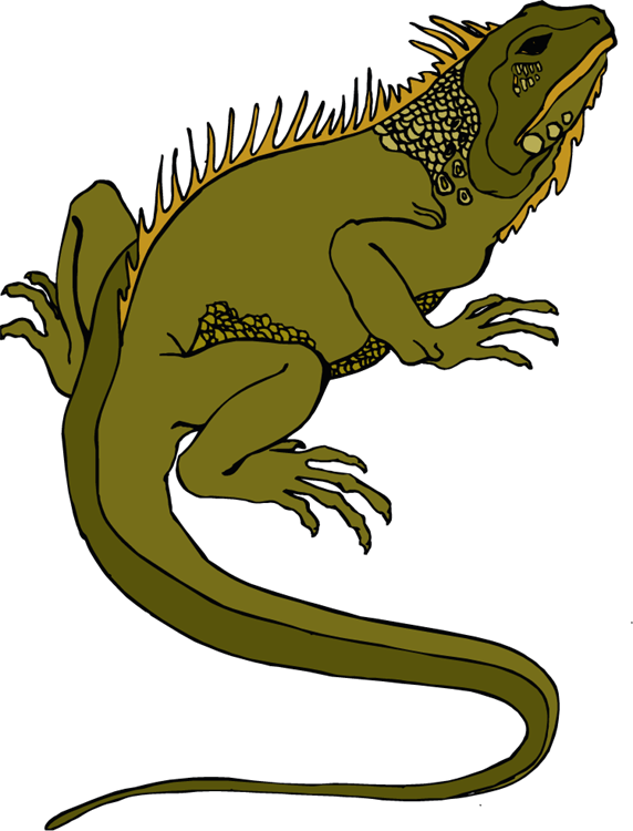 Best Iguana Clipart #14002 - Clipartion.com