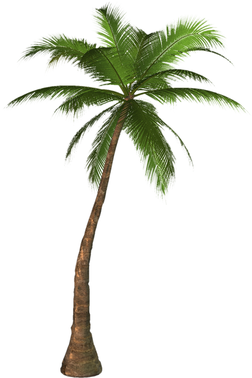 Coconut Tree Png - ClipArt Best