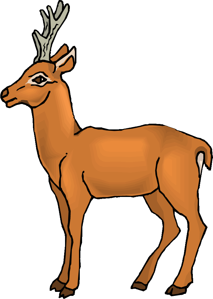 Mule Deer Clip Art