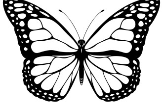 Monarch Butterfly Vector : 10 Monarch Butterfly Clip Art ...