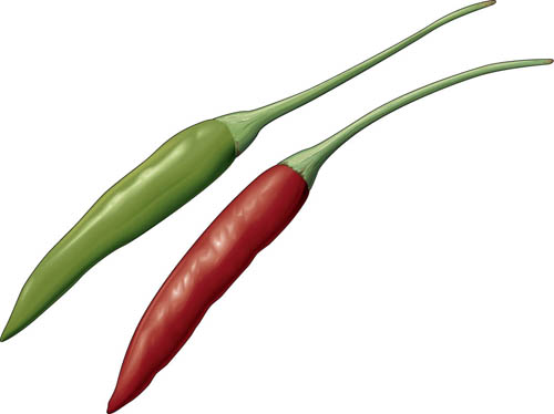 Chili pepper: Information from Answers.