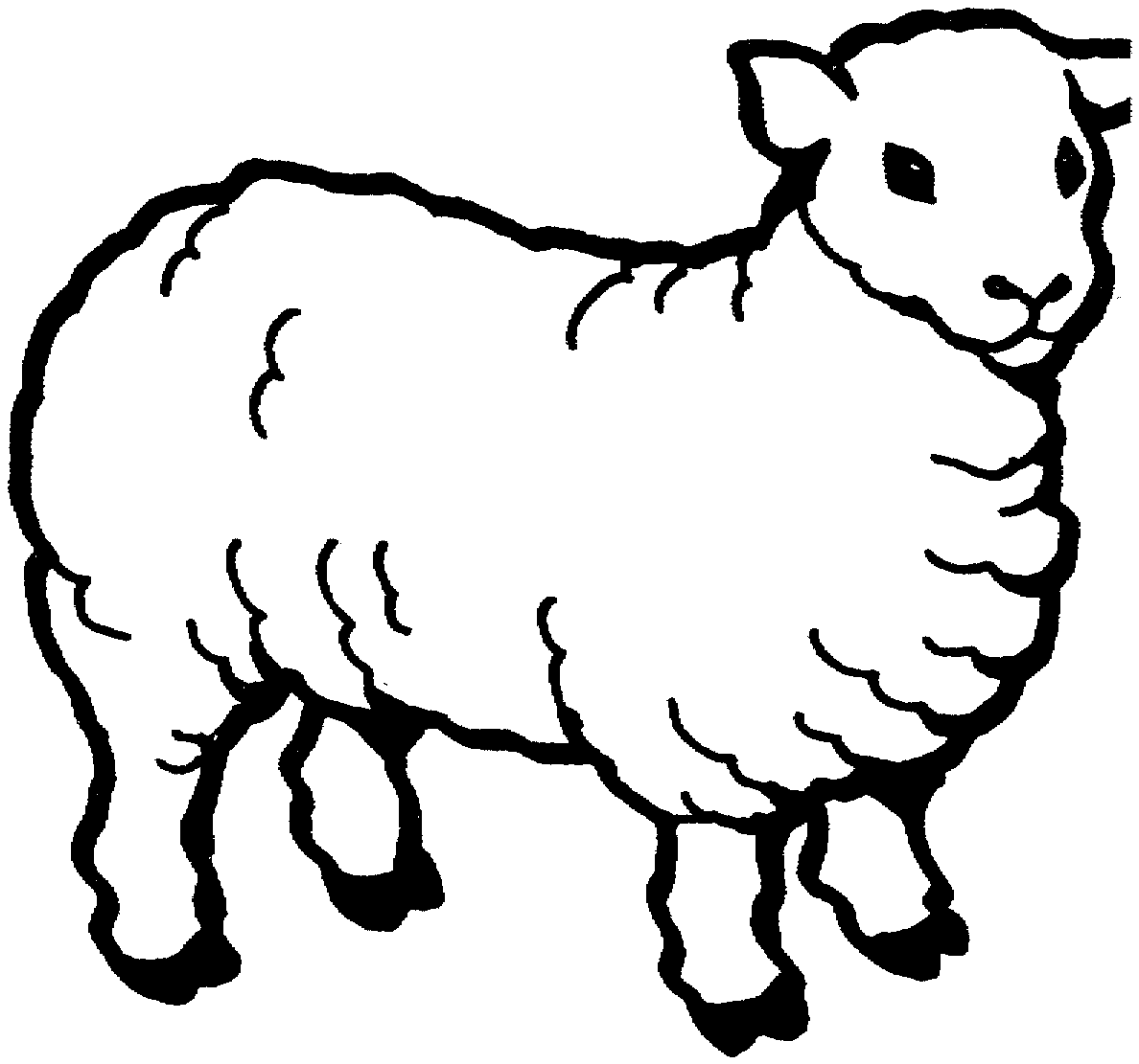 Sheep Line Drawing - ClipArt Best