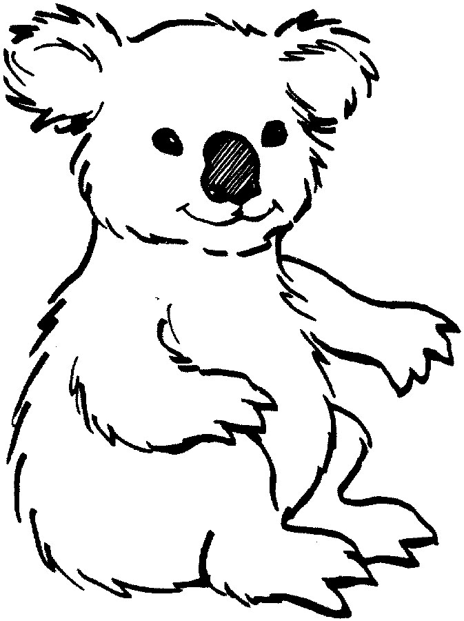 Baby koala bear clipart outline