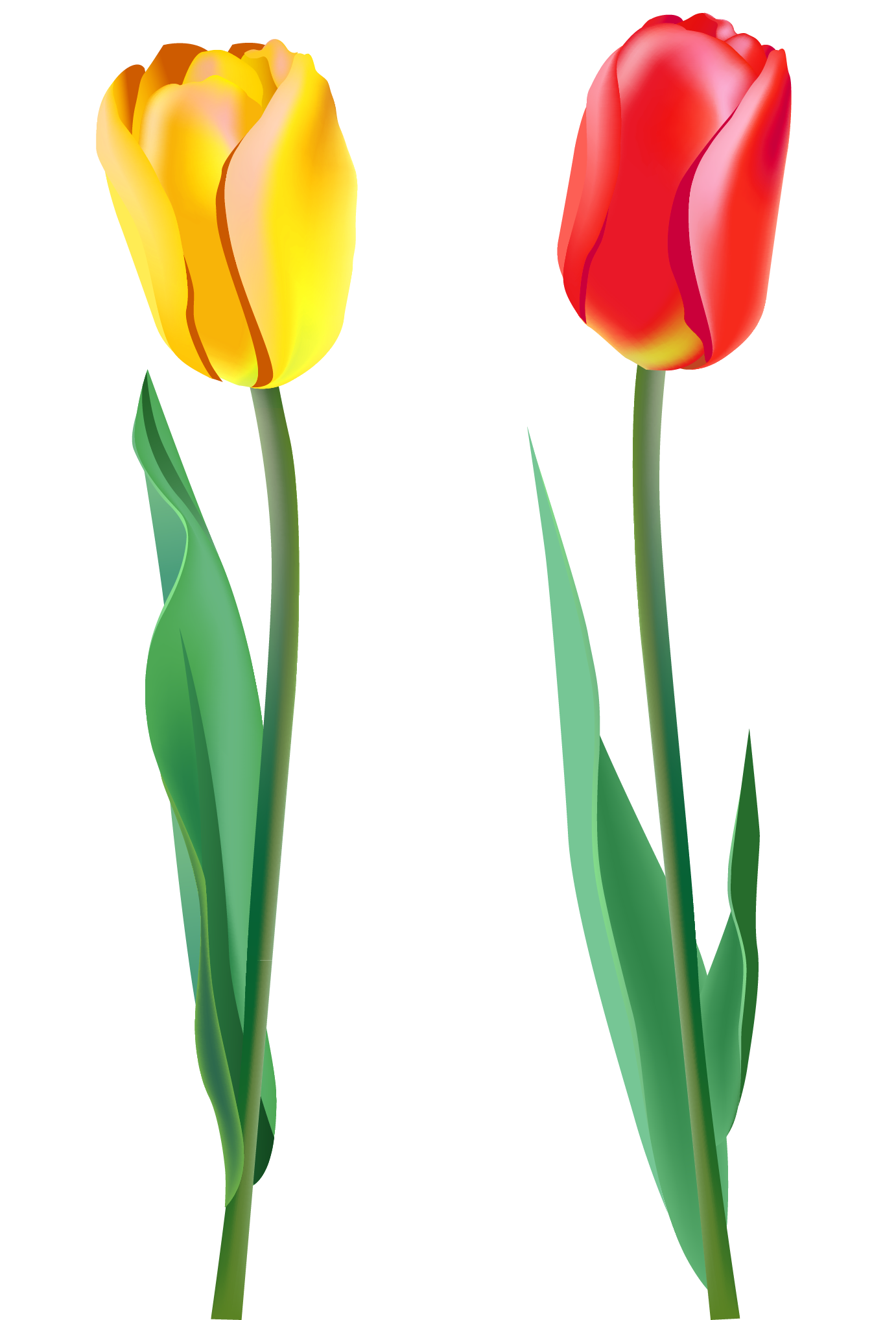 Spring Tulips Clip Art - ClipArt Best