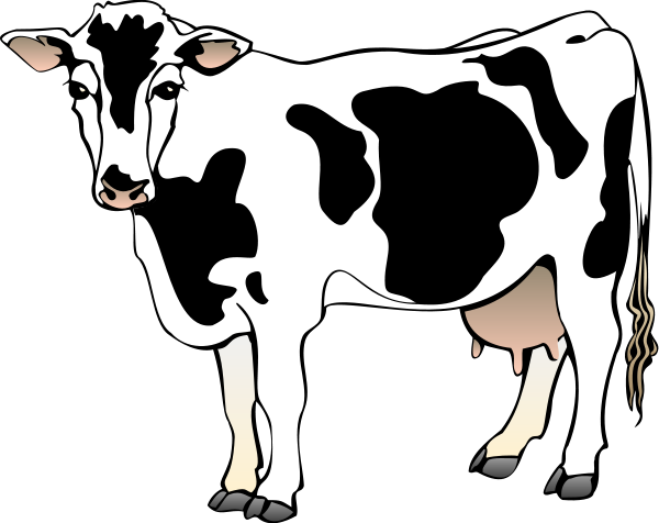 Transparent cow clipart outline