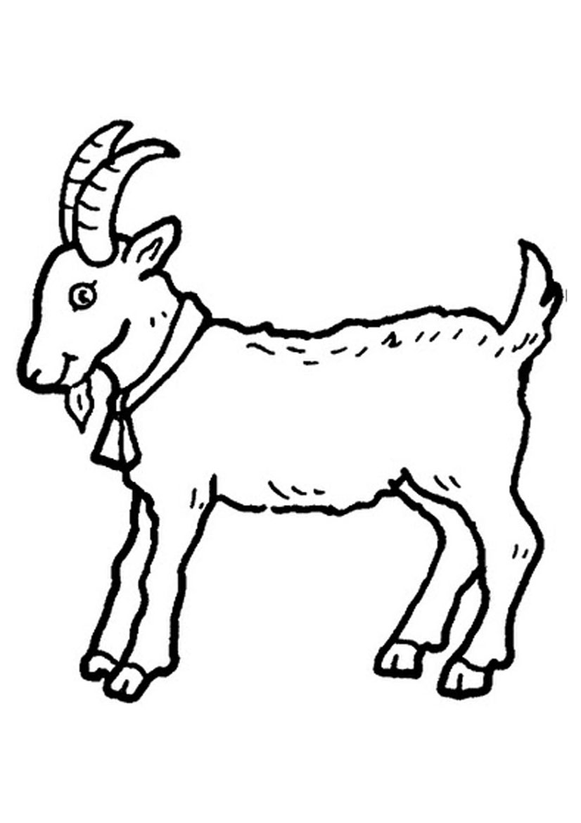 kid goat Colouring Pages