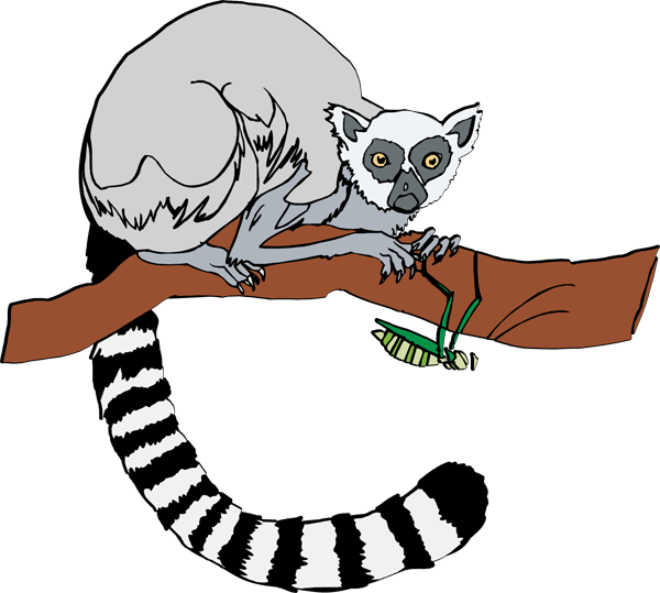 Lemur Clip Art - Free Clipart Images