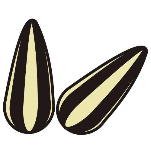 Seed Clip Art