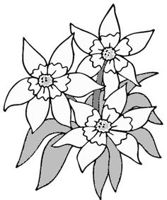 Coloring, Coloring for adults and Drawing flowers