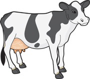 Search Results for cow Pictures - Graphics - Illustrations ...