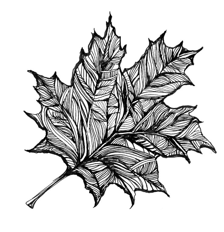 Leaf Drawing | Pen Drawings, Doodle ...