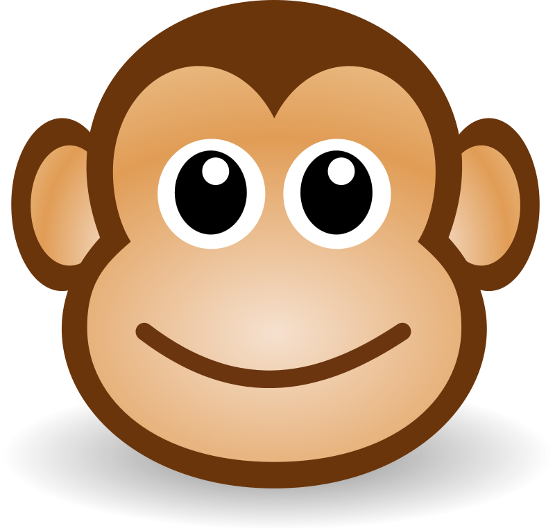 Free Monkey Pictures