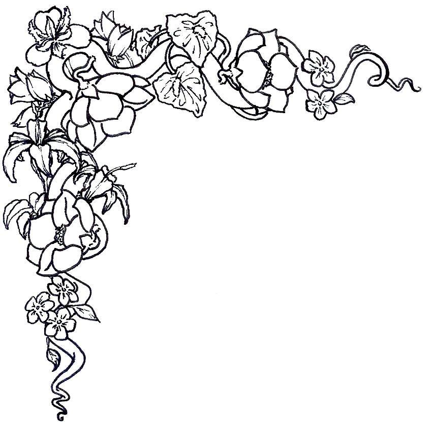 Outlines Of Flowers - AZ Coloring Pages