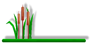 Cattail Clip Art - Three Cattails On Green Linebar