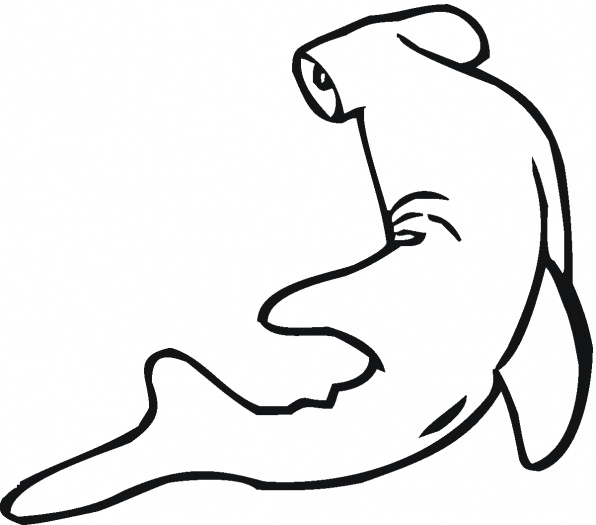 Shark Drawing Template - ClipArt Best