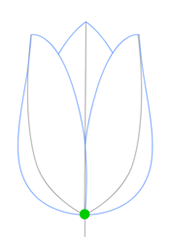 tulip_drawing_4.gif