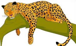 Jaguar clip art graphics - dbclipart.com