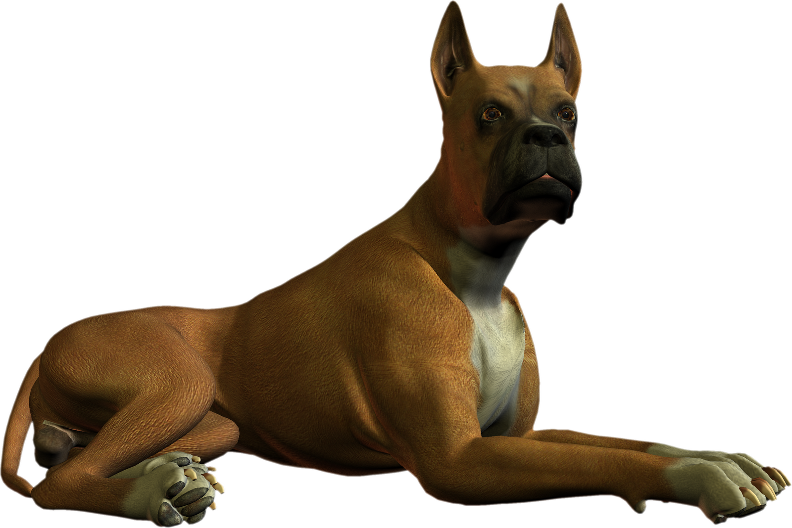 Image of Boxer Dog Clipart #5263, Dog Images Dog Clip Art Images ...