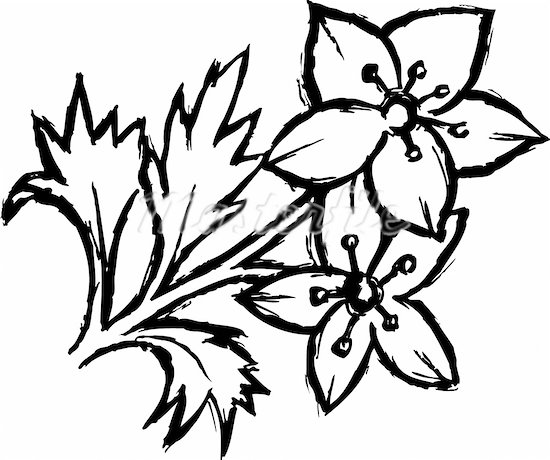 Black and white flower with stem clipart