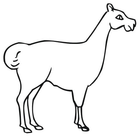 Dam Llama Outline Coloring Page - Animal - Photos Of Llama ...