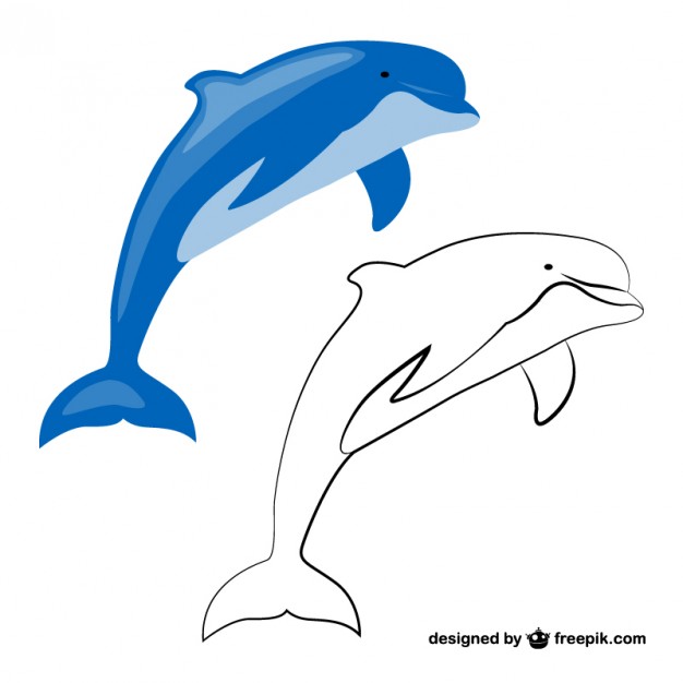 Dolphin Vectors, Photos and PSD files | Free Download