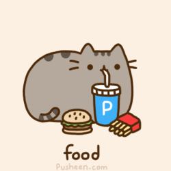 Funny quotes and sayings, Nyan cat and Pusheen cat
