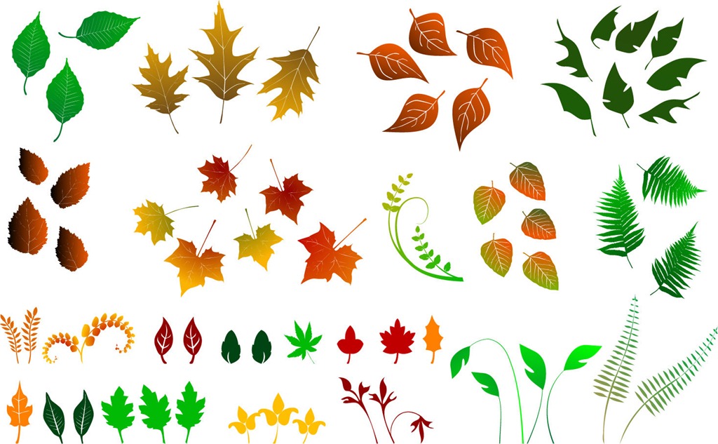 Huge Collection of Vector Leaves | Free Vector Graphics | All Free ...