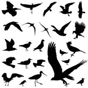 List of All Bird Tattoos Design Page 3 - WakTattoos.com | Free ...