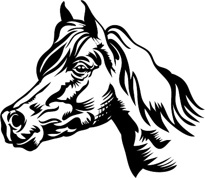 Images Of Horses Heads - ClipArt Best