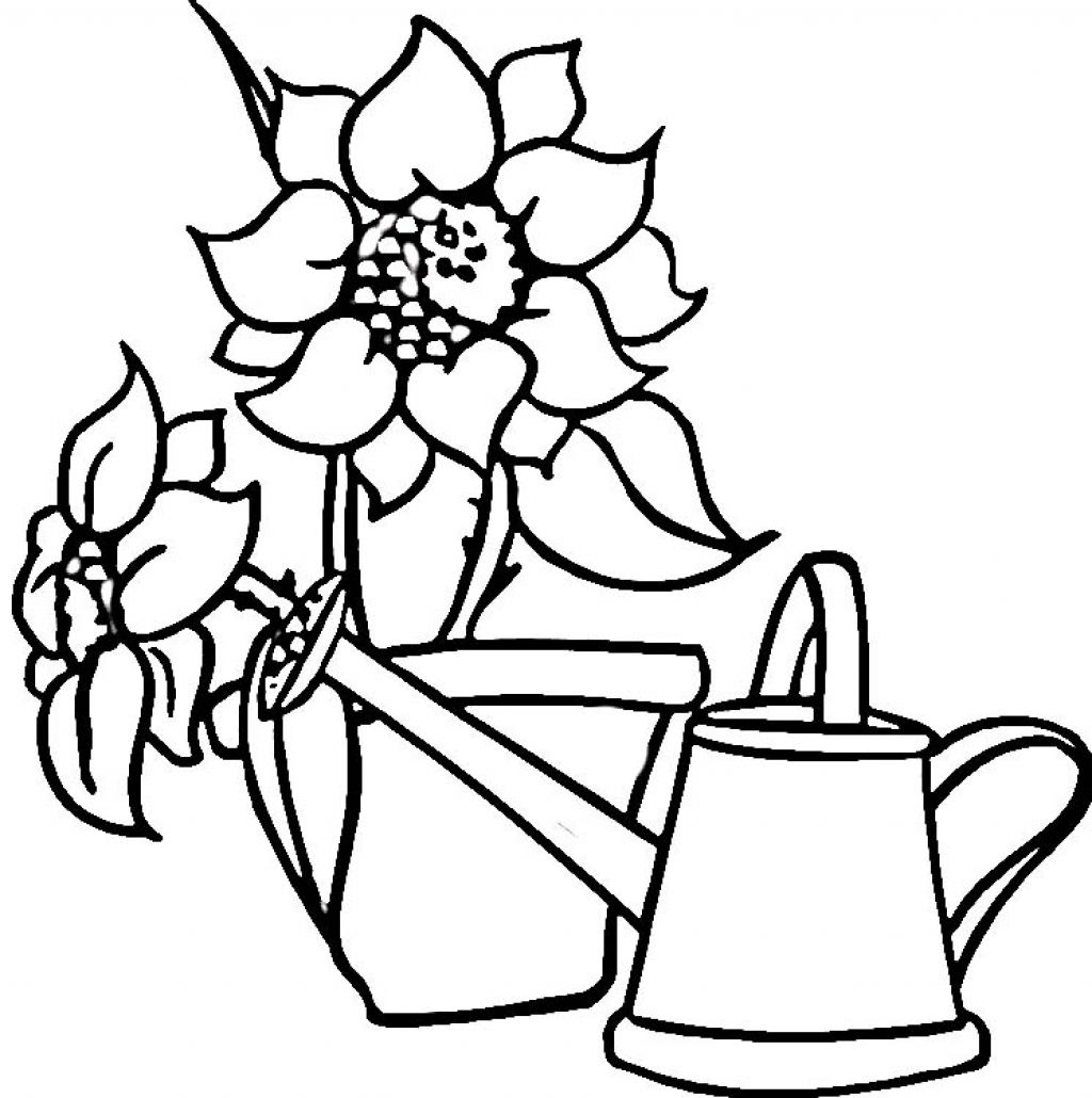 sweety Colouring Pages