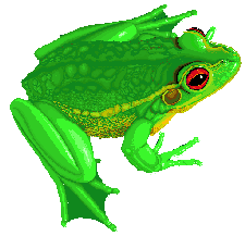 frog.gif - ClipArt Best - ClipArt Best