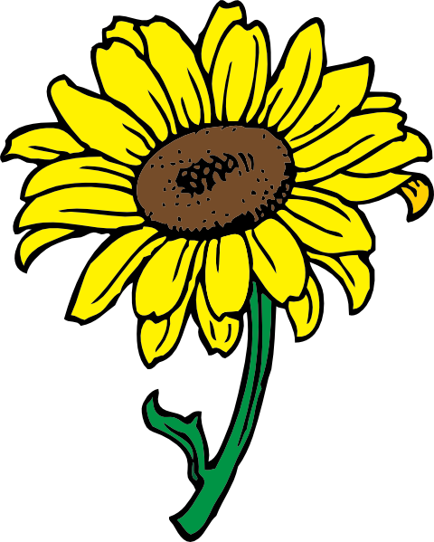 Sunflower SVG Downloads - Flowers - Download vector clip art online