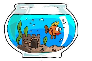 fish aquarium drawing - Free drawing of Aquarium Fish Color from ...