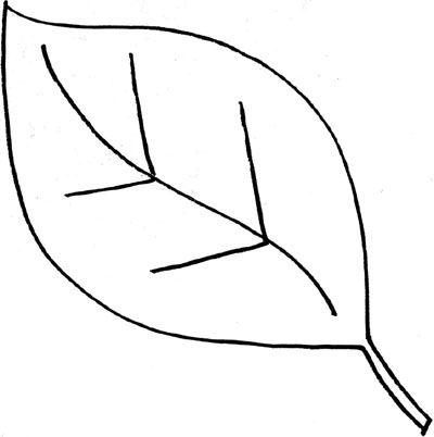 Clipart of a simple leaf outline