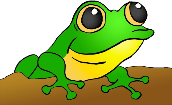 Tree frog images clip art