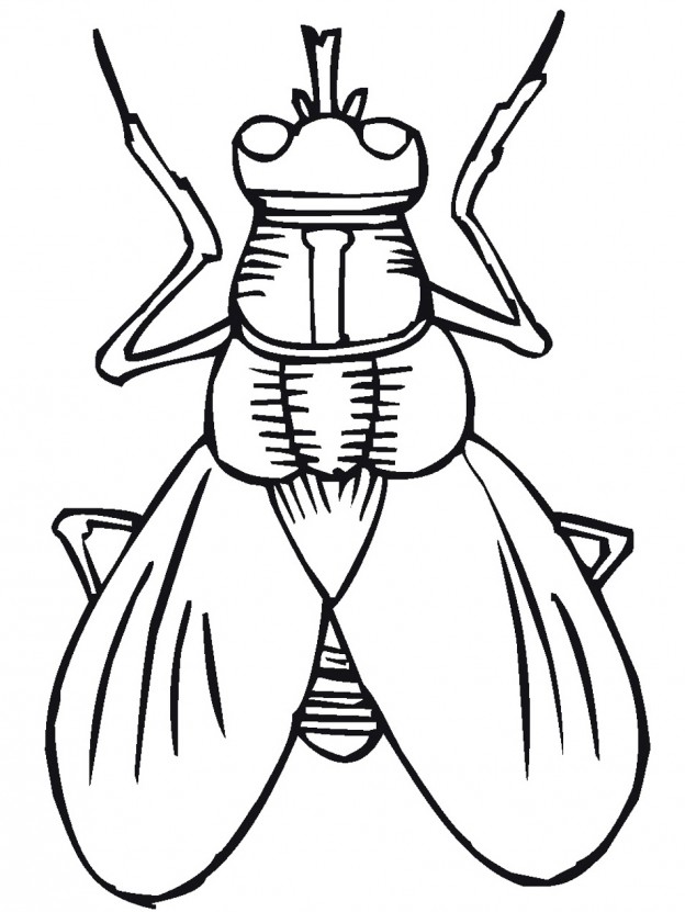 Lightning Bug Clipart