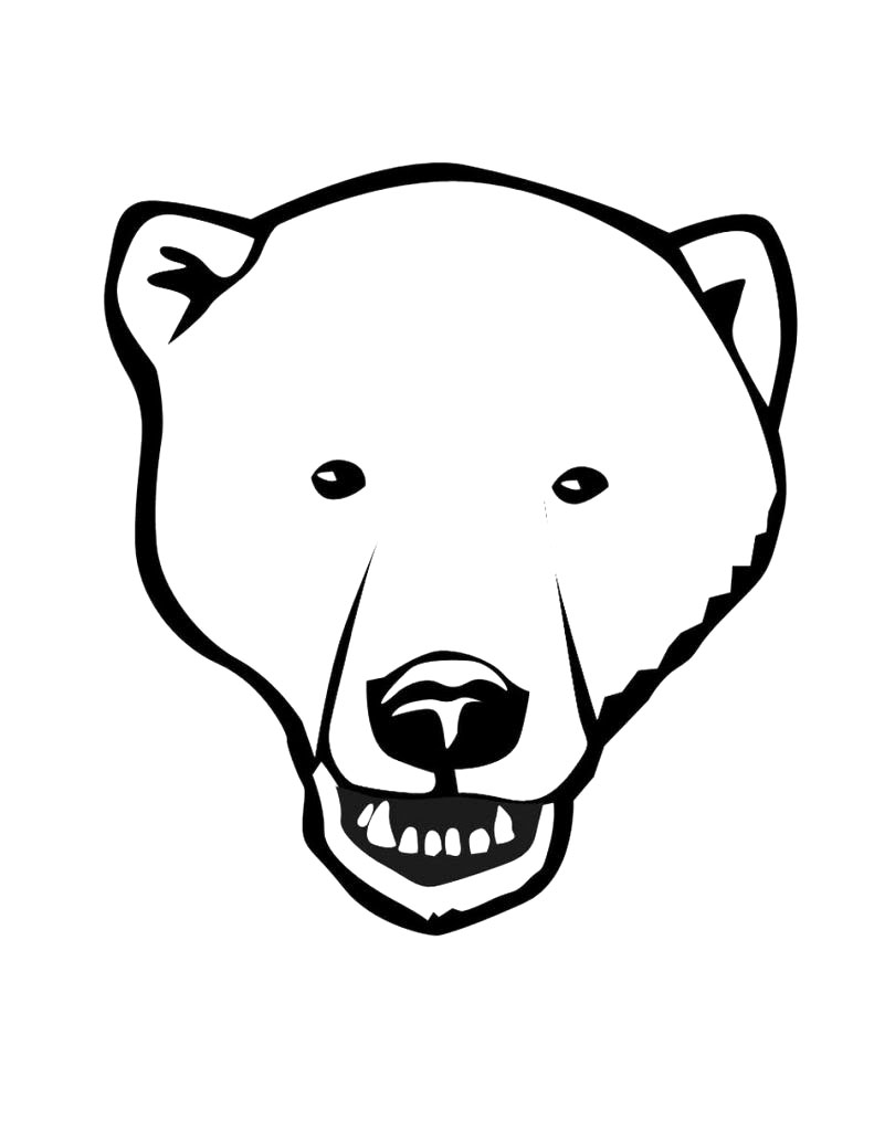Best Photos of Polar Bear Face Outline - Teddy Bear Face Coloring ...