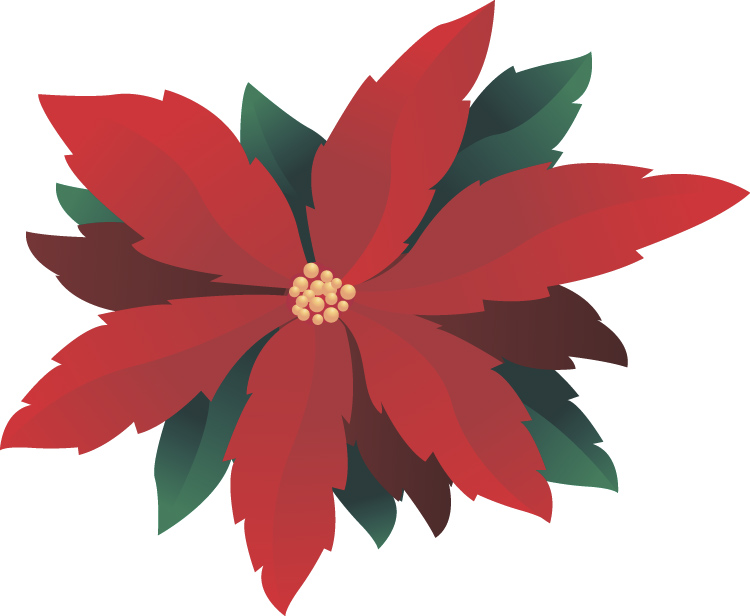 Poinsettia Graphic - ClipArt Best